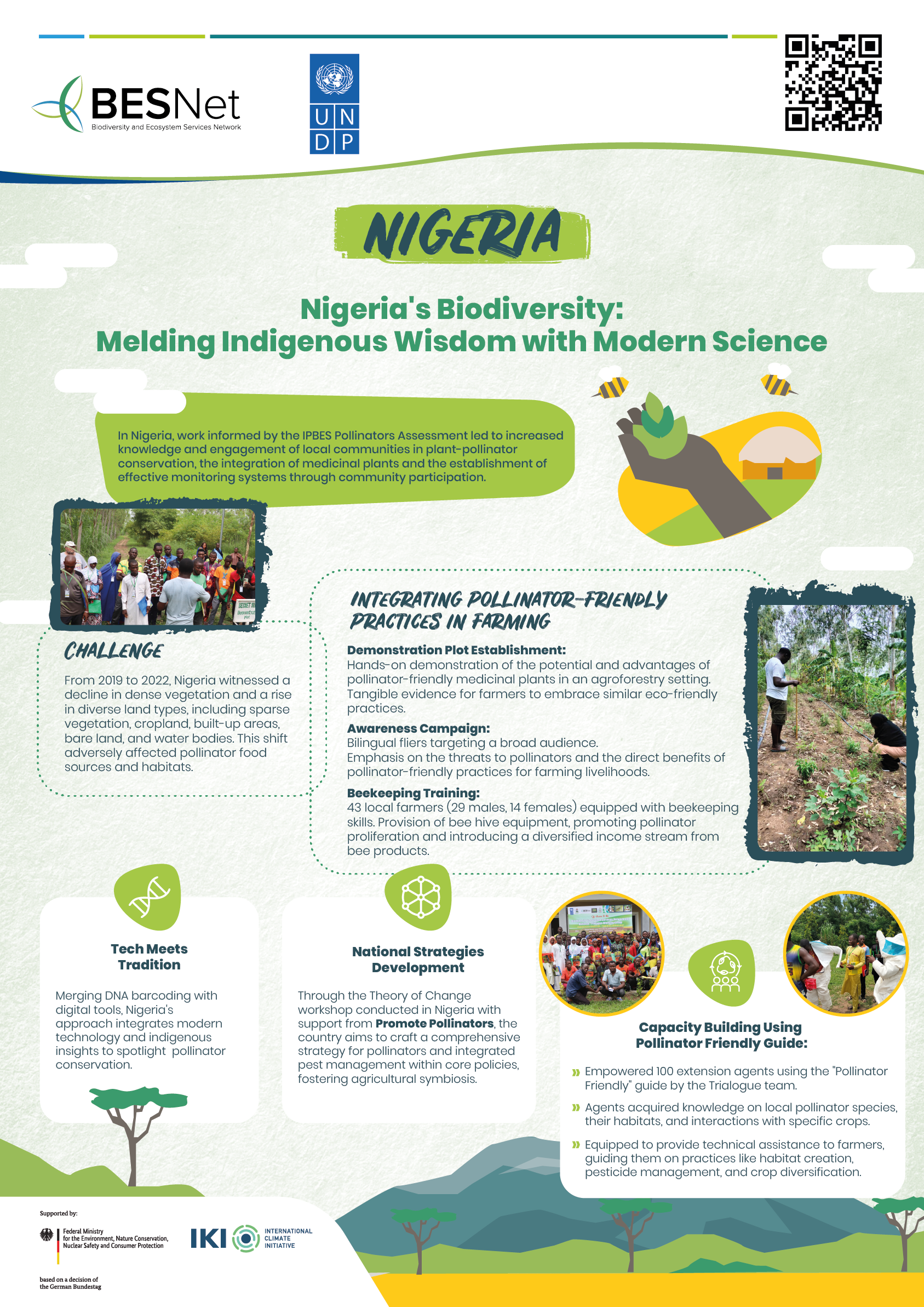 Nigeria poster