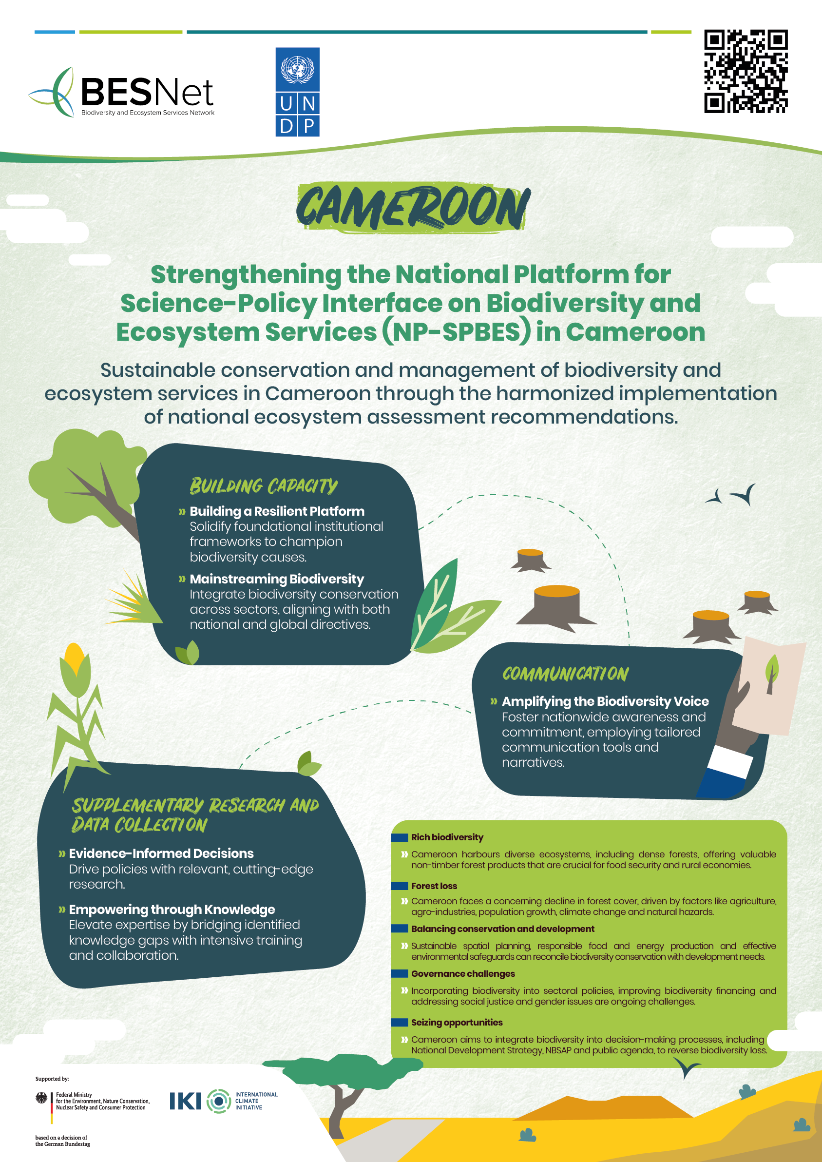 Cameroon poster