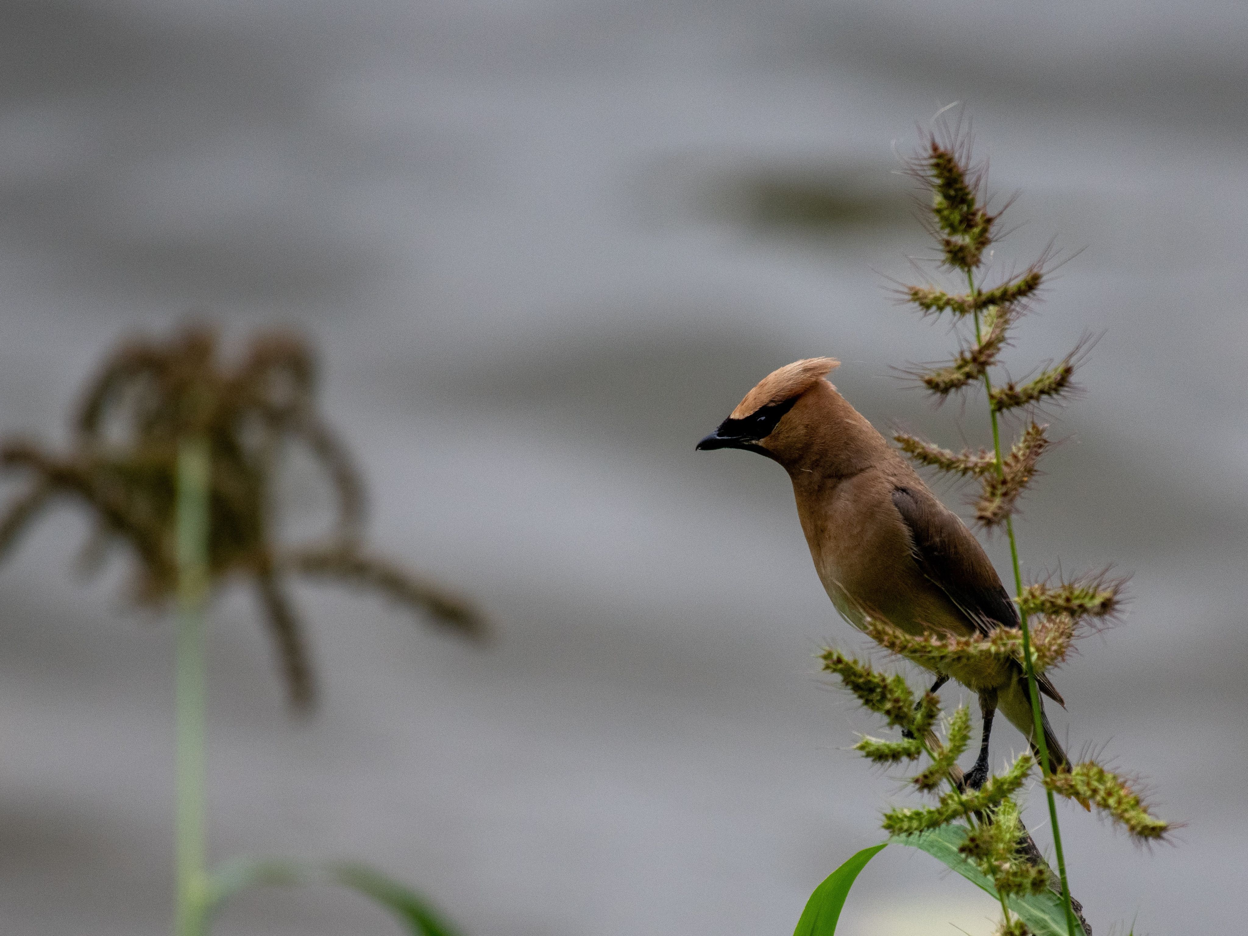 Photo by Andrew Patrick on Pexels